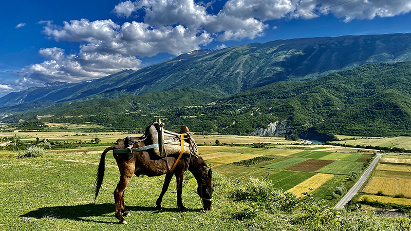 BERAT, VINGRD OCH VANDRING